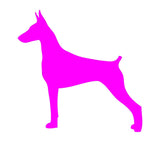 Doberman Pinscher Vinyl Decal Car Window Laptop Dog Breed Silhouette Sticker