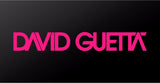 David Guetta Electro House EDM DJ Vinyl Decal Laptop Car Window Sticker