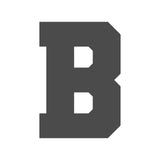 https://i.ebayimg.com/00/s/MTYwMFgxNjAw/z/EhwAAeSw6R9peNW9/$_57.JPG?set_id=880000500F
