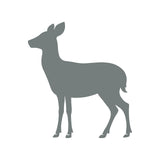 https://i.ebayimg.com/00/s/MTYwMFgxNjAw/z/uKwAAeSwWBRpbD~P/$_57.JPG?set_id=880000500F