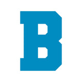 https://i.ebayimg.com/00/s/MTYwMFgxNjAw/z/pakAAeSwqxdpeNXA/$_57.JPG?set_id=880000500F