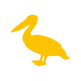 https://i.ebayimg.com/00/s/MTYwMFgxNjAw/z/TMsAAeSwsBZpaqVW/$_57.JPG?set_id=880000500F