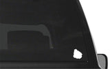 https://i.ebayimg.com/00/s/MTAwNVgxNjAw/z/hrcAAOSwXApmzRyY/$_57.JPG?set_id=8800005007