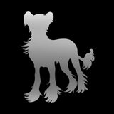 Chinese Crested Vinyl Decal Car Window Laptop Dog Breed Sticker