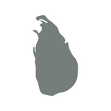 https://i.ebayimg.com/00/s/MTYwMFgxNjAw/z/PEYAAOSwTzxmwoIZ/$_57.JPG?set_id=8800005007