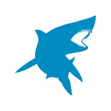 https://i.ebayimg.com/00/s/MTYwMFgxNjAw/z/g0AAAeSwcK1pfNtV/$_57.JPG?set_id=880000500F