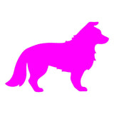 Border Collie vinyl decal Dog Silhouette laptop car sticker