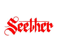 Seether band logo vinyl decal Car window laptop decal