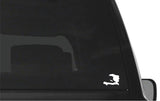 https://i.ebayimg.com/00/s/MTAwNlgxNjAw/z/5uMAAOSw1Gxmx2w8/$_57.JPG?set_id=8800005007
