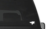 https://i.ebayimg.com/00/s/MTAwNVgxNjAw/z/crcAAOSwMnBm0nqu/$_57.JPG?set_id=8800005007