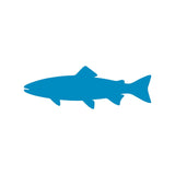 https://i.ebayimg.com/00/s/MTYwMFgxNjAw/z/HlsAAeSwKJlpfQXd/$_57.JPG?set_id=880000500F