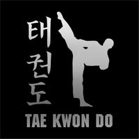 TaeKwonDo Vinyl Decal  Car Window Laptop Tae Kwon Do Martial Arts Sticker