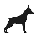https://i.ebayimg.com/00/s/MTYwMFgxNjAw/z/zXIAAOSwKEZmFfuc/$_57.JPG?set_id=8800005007
