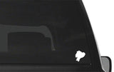 https://i.ebayimg.com/00/s/MTAwNVgxNjAw/z/0cIAAOSwa7Nmw6R~/$_57.JPG?set_id=8800005007