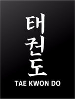 Tae Kwon Do Martial Arts Taekwondo Letters Car Window Laptop Vinyl Decal Sticker