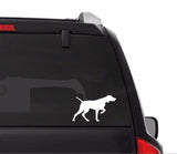 Vizsla Vinyl Decal Hungarian Pointer Car Window Laptop Dog Silhouette Sticker